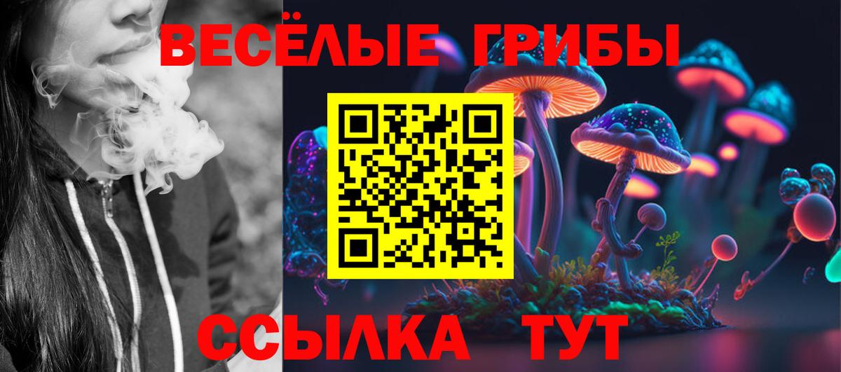 Подольск  Псилоцибиновые грибы мухоморы  Вход с VPN 